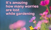 It's Amazing How Many Worries are Lost While Gardening