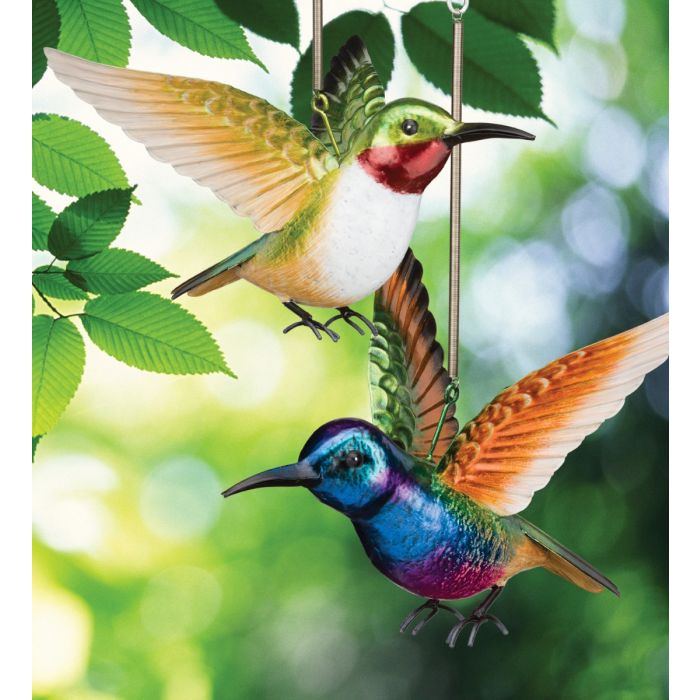 Bouncie - Bird Hummingbird