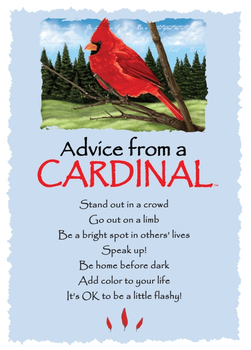 Birthday Cards - Advice for Life  Cardinal