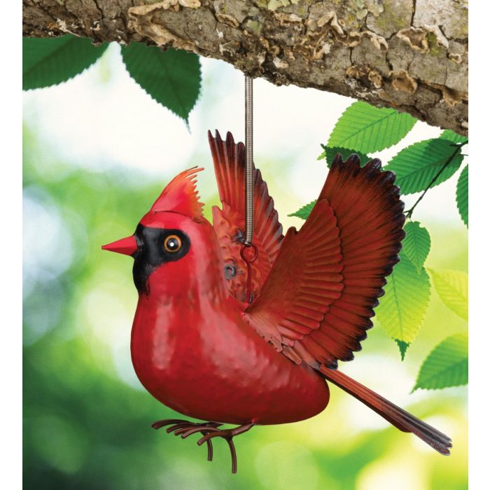 Bouncie - Bird Cardinal