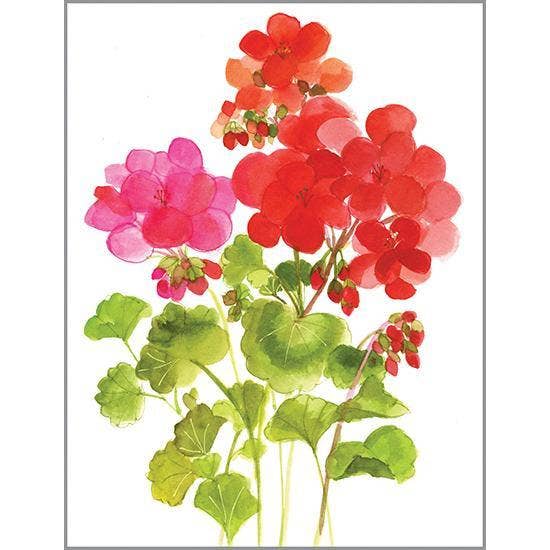 Note Card - Red Geraniums -Blank
