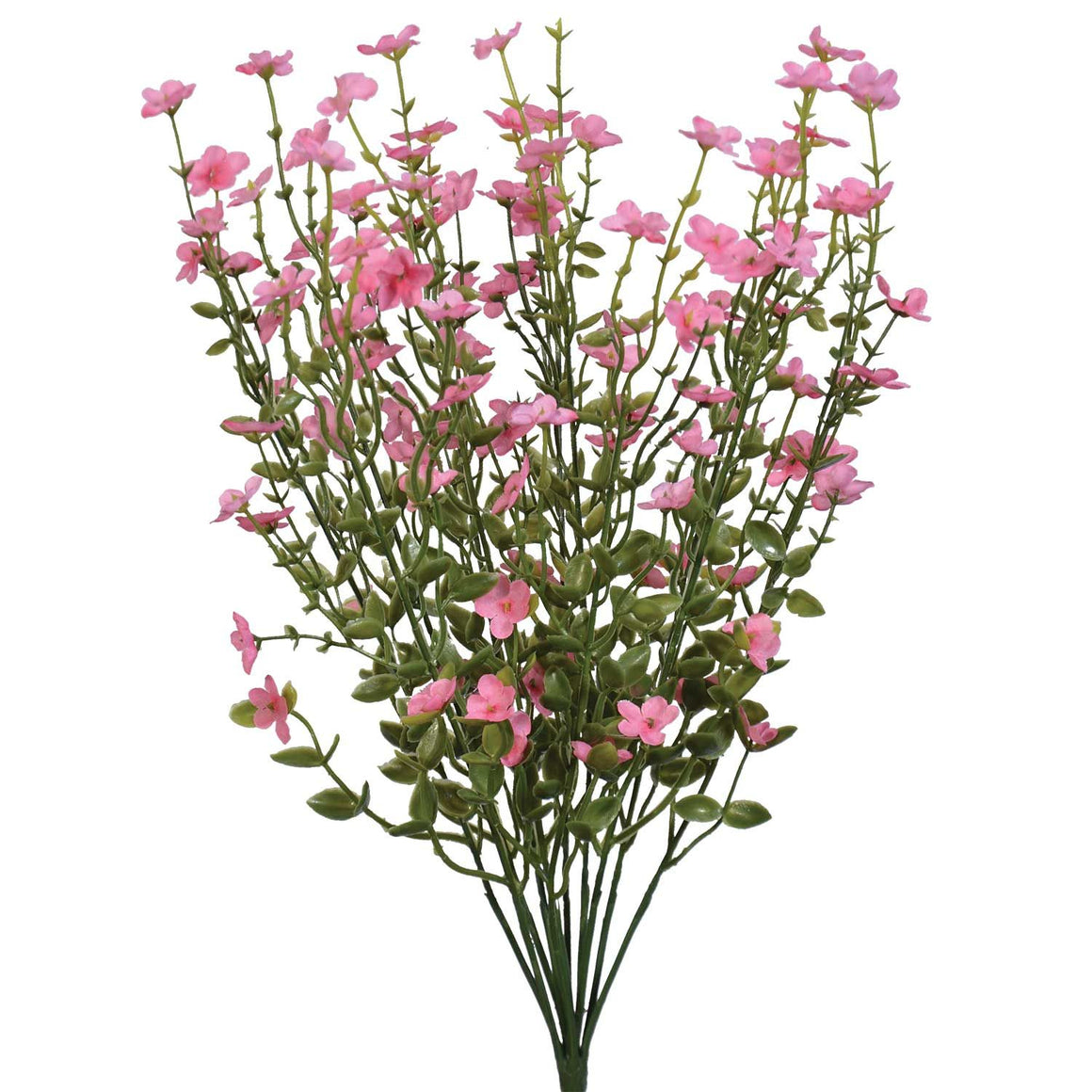 Forget-Me-Not Bush X11, 17.5" - Pink
