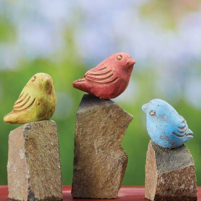 Mini Birds on Rocks