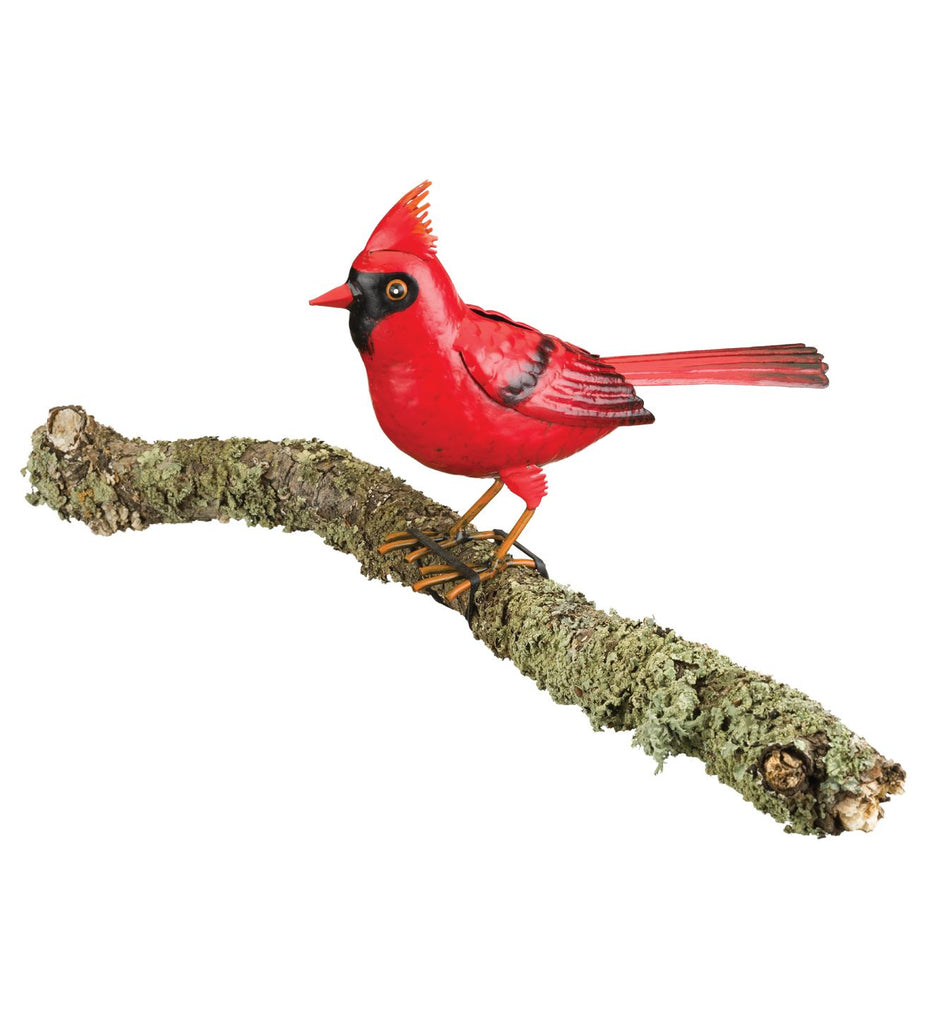 Cardinal Decor