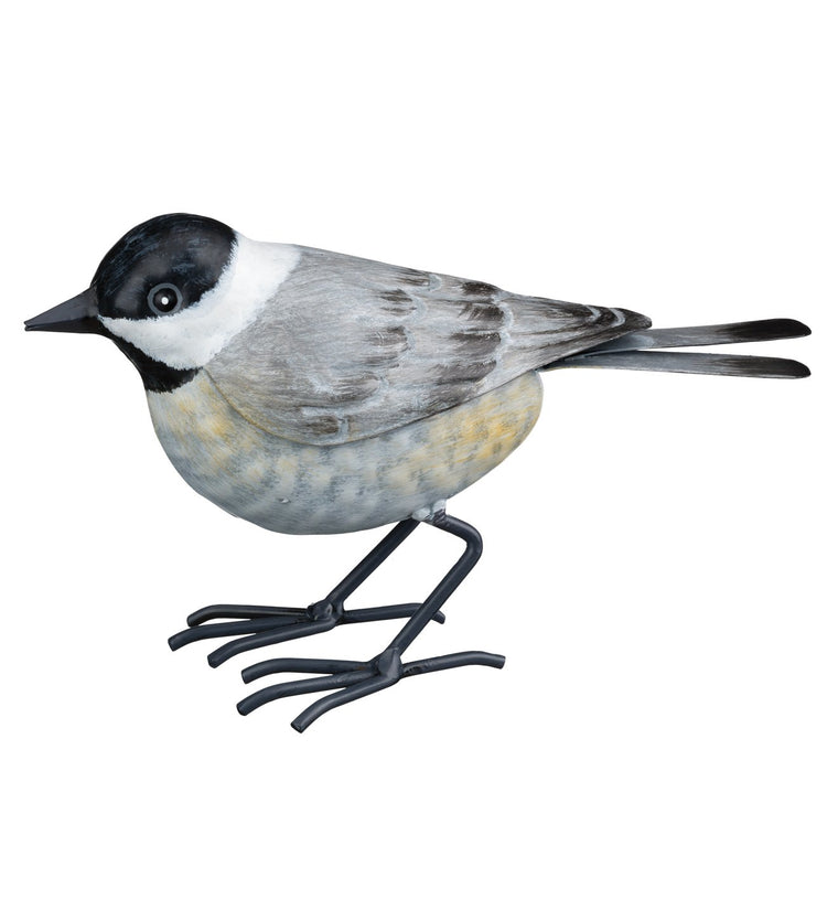 Songbird - Chickadee