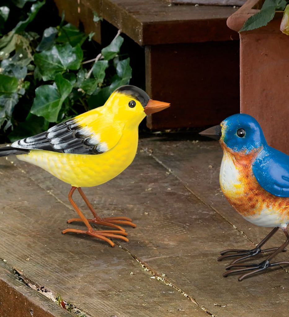 Songbird - Goldfinch