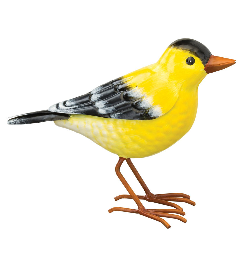 Songbird - Goldfinch