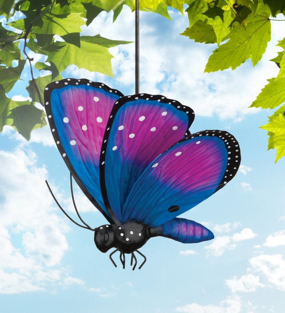 Bouncie - Butterfly  Papillon