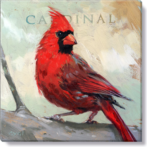 Bird Cardinal  9x9 Giclée Wall Art - Darren Gygi