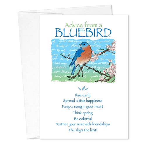 Birthday Cards - Advice for Life Bluebird