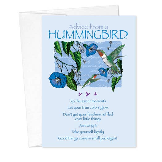 Birthday Cards - Advice for Life Hummingbird