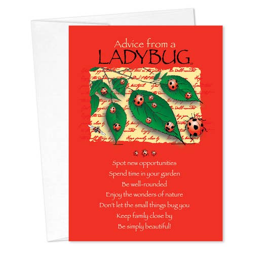 Birthday Cards - Advice for Life Ladybug