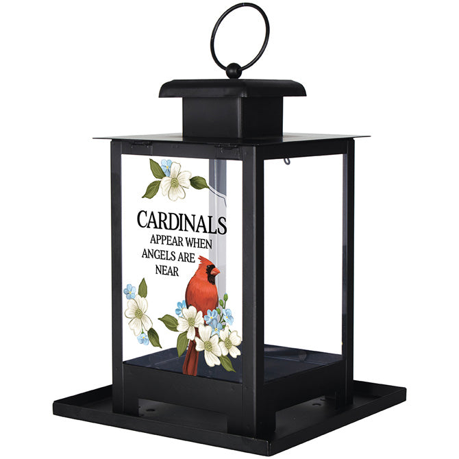"Cardinals Appear" Bird Feeder
