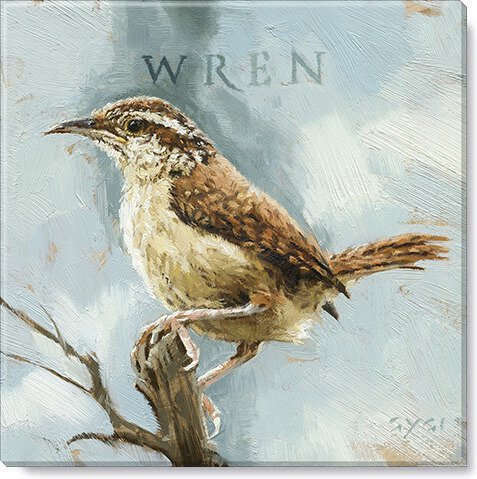 Bird Wren 9x9 Giclée Wall  Art - Darren Gygi