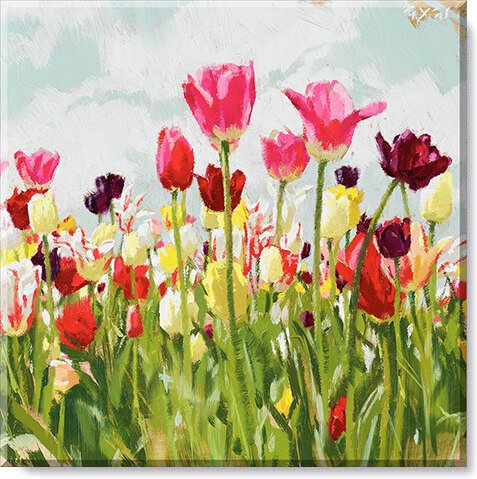 Tulip Field Landscape 14x14 Giclée Wall  Art - Darren Gygi Home Collection