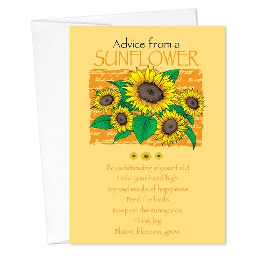 Birthday Cards - Advice for Life Sunflower