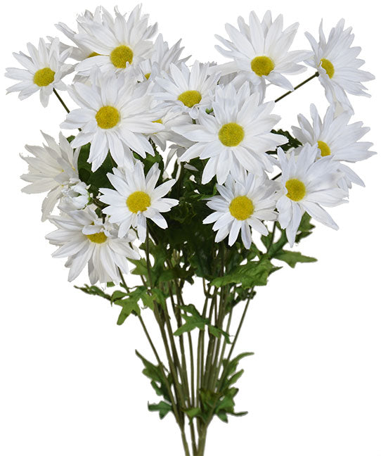 Flowers DAISY BUSH X4, 21" WHITE