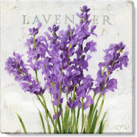 Flower Collection 5 x 5 GICLEE WALL ART - Darren Gygi