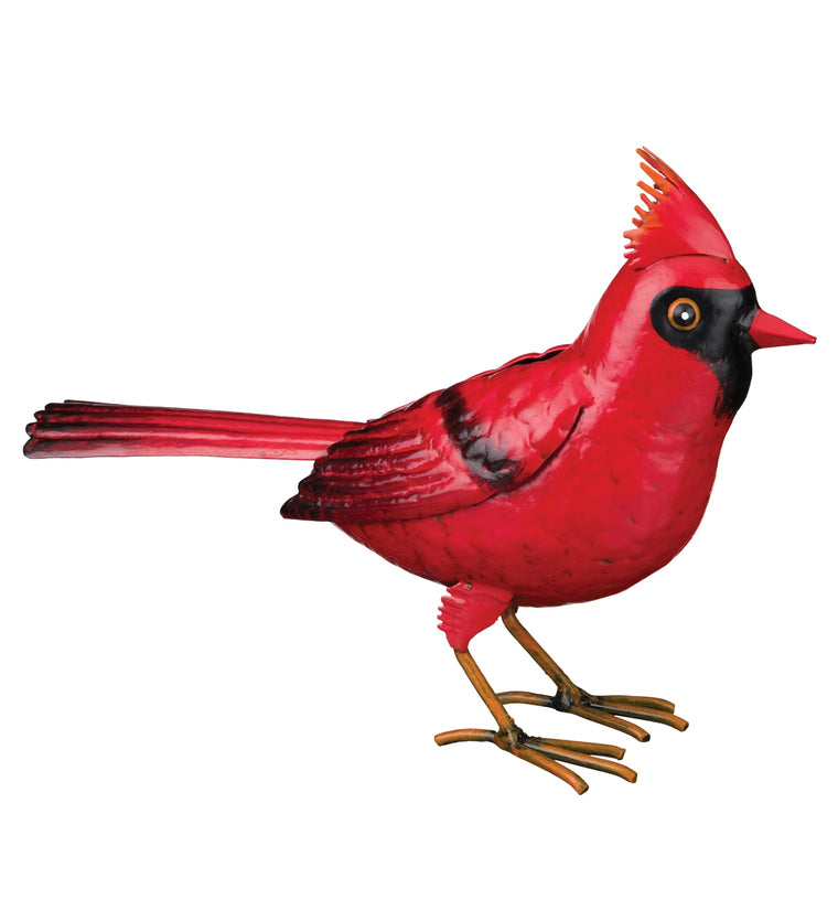 Songbird - Cardinal